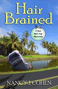 HAIR BRAINED ebook